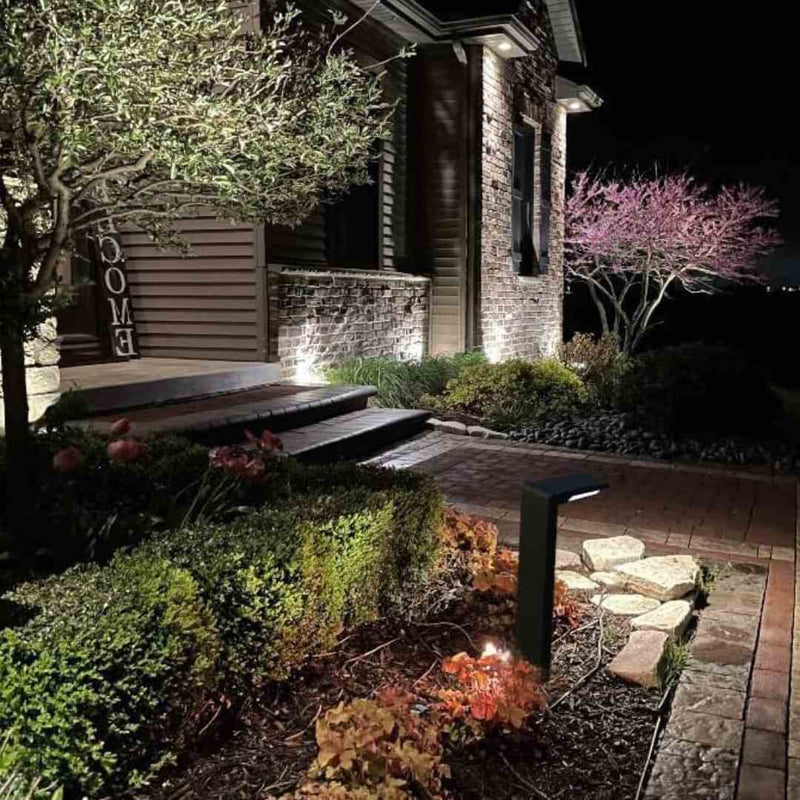 layout