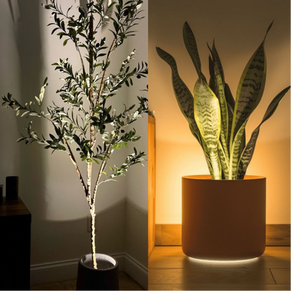 Fenna plantenspot met RGB-kleuren